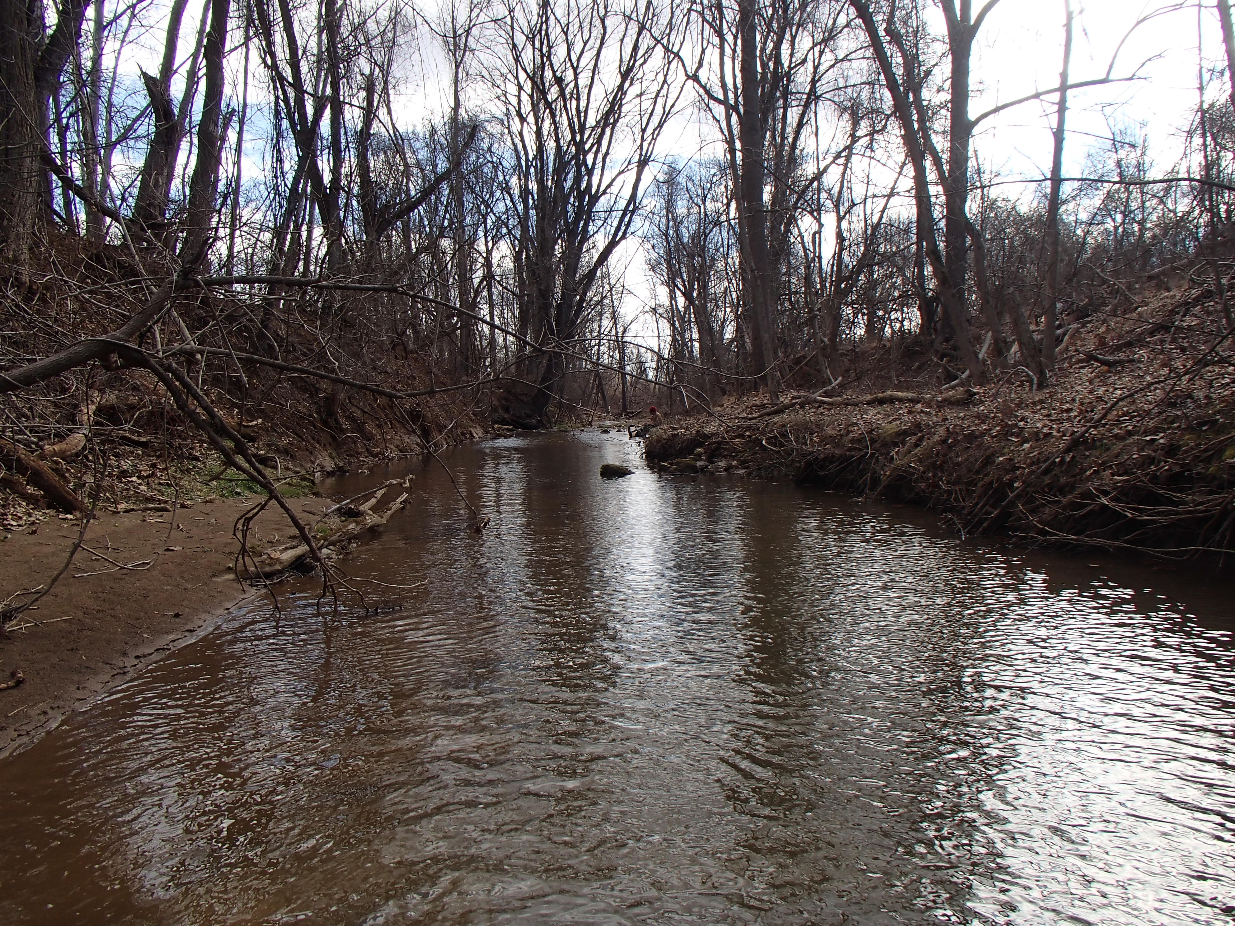 Field photo showing stream conditions at site LOCH-114-R-2016_downstream from midpoint